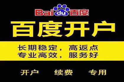 百度竞价排名案例揭秘：广告创意的重要性